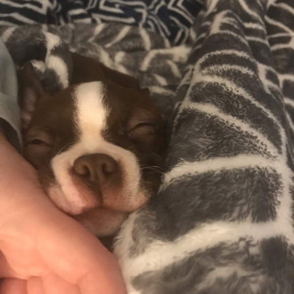 Meet your Posher, Bev - Picture 1 of 1